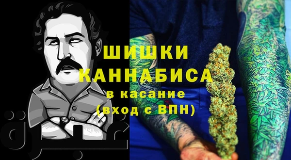 мет Алексин