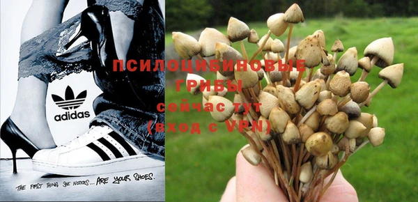 мет Алексин