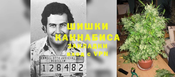 твердый Инсар