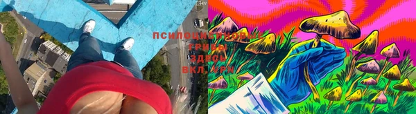 дживик Алзамай