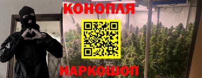 прущие крисы Конаково