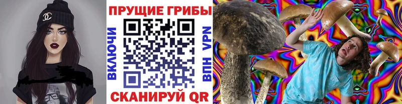 Галлюциногенные грибы Magic Shrooms  блэк спрут ТОР  Усть-Илимск  купить закладку 