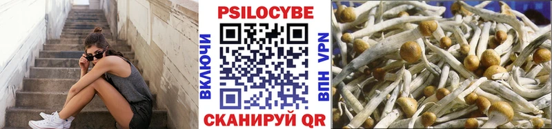 Галлюциногенные грибы MAGIC MUSHROOMS Усть-Илимск